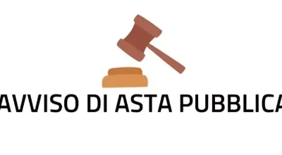 Immagine asta